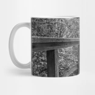 Mangrove Walk, Brooklyn, NSW, Australia Mug